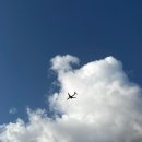 김포한강 10로 | 2025 13회 김포한강마라톤대회 10km 후기. 코스/물품보관소/주차/기록