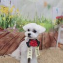 김포24시힐동물의료센터 이미지