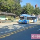 한성운수 네이버블로그