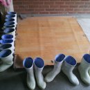 한돈산업 이미지