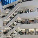 메이올웨이즈 이미지