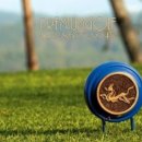 아난티CC 이미지