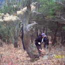 산성등산로1 이미지