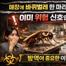 에스에스사업단