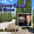 Green Green Grass of Home (Tom Jones) 이미지