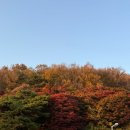 마음맞는 친구가 곁에 있다는건 엄청난 행운이야 | 11월 2주차