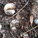 수인사유치원 이미지