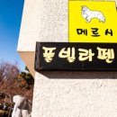 메르시 애견 펜션 이미지