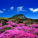 백록담농수산