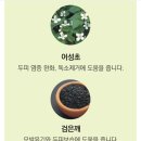 물에 섞어 바르는 순한 비건염색약 이미지