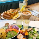 사당역 브런치맛집 2곳 추천 [수프링]과 [크리스피프레시]/ 건강하고 가벼운 한끼/ 혼밥, 데이트 장소로...