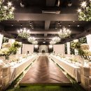 더그레이스켈리 이미지