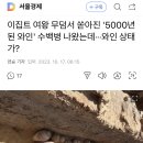 이집트 여왕 무덤서 쏟아진 '5000년된 와인' 수백병 나왔는데···와인 상태가? 이미지