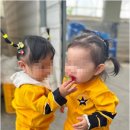 인동36길-23 네이버블로그
