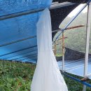 진생농장 이미지