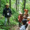 한화리조트/평창 이미지