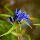 조신경로당 이미지