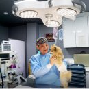 이지훈동물병원 이미지