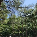 경포대오토캠핑장 | [양양 가볼만한곳] 양양 해담마을 캠핑장 솔직 후기! 강릉 근교 계곡 캠핑장 추천