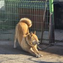 백암카센타 이미지