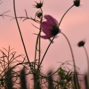 위너스랩 이미지