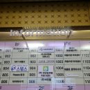 고양이별 캣 카페 티스토리