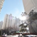 파랑새 공인중개사사무소 이미지