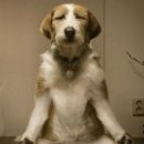 코코헤어샵 이미지