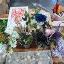 선거웰빙 영농조합법인 이미지