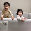 클링 | 보아르 컴포트클링 무선 침구청소기 솔직후기, 소파·침대 먼지 얼마나 나왔을까?