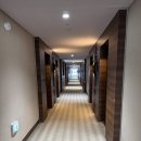 토모인터내셔널 | [영종도 토모인터내셔널 호텔] 휘리릭 떠난 영종도 여행 가성비 오션뷰 숙소