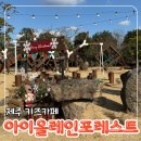 가족이 함께 떠나는 숲체험 & 놀이 - 애벌레 숲 놀이터 | 제주 아이랑 꼭 가봐야 할 자연 놀이터 l 아이올레인포레스트 숲체험 후기