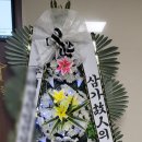유OO 티스토리