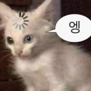 나이스마트대신점 | 대만 가오슝 3박 4일 여행 후기(3일차~4일차/하이디라오/팝마트자판기/리우허야시장/까르푸/가오슝공항)