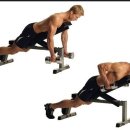 휘트니스 오름 이미지