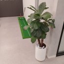 유성골프연습장 이미지