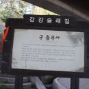 강강술래길 티스토리