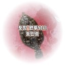 방어리 | [공지] 포항 방어리방파제 원투낚시 첫 도전기 및 포인트 추천