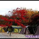 상면농장 | 포도밸리캠핑장 친구들과의 특별한 캠핑 경험