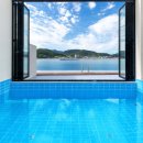 우리들애견 이미지