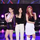 보니 이미지