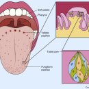 위강한의원 이미지