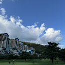 소노펫 보딩 이미지