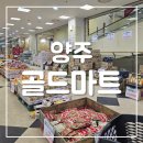 골드마트 | 양주 덕계 골드마트 장본 후기