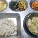 01-31 동구 이미지