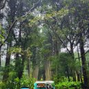 상덕목장 이미지