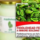 지에이치약품 이미지