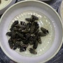 도셰프갯마을회 | 대구 용산동 맛집: 기본반찬 많이 나오는 용산동 횟집: 도셰프 갯마을 회