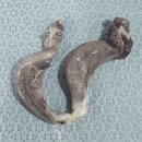 블루동물종합병원 이미지