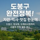 둘리쌍문공원 유아숲체험장 | 서울 도봉구 완전정복! 자연·역사·맛집까지 한눈에